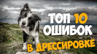 ТОП 10 ОШИБОК в дрессировке собаки!!!