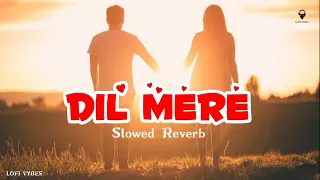 Dil Mere | Slowed Reverb | The Local Train | Indian lofi songs