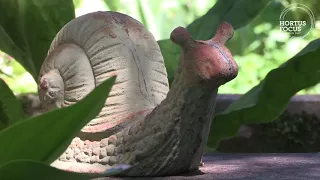 Visite de jardin : Le Jardin d'Entêoulet, jardin préféré des Français, dans le Gers