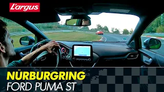 Ford Puma ST at the Nürburgring nordschleife : the unexpected drift machine !