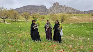 "Traditional Remedies: Grandmother and Daughter Harvesting Herbal Medicines"