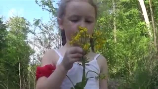 Mother Mother - Little Pistol Music Video