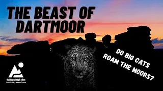 The Beast of Dartmoor | Big Cats In Britain ? | A Story From Bellever Forest Dartmoor