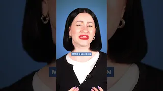 So geht die AfD bei TikTok auf Stimmenfang! #afd #erklärvideo #tiktok #europawahl #shortsvideo