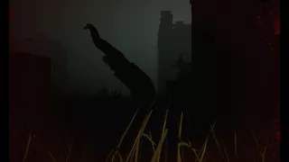 Вроде как баг в Dead by Daylight