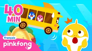 Baby Shark Chansons de Bus en français | +Compilation | Pinkfong Bébé Requin! Chansons pour Enfants