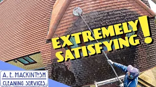 Extremely Satisfying Roof Clean!