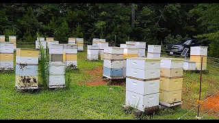 A New Beekeeping Business Model??