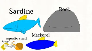 (new) ocean lore size comparison