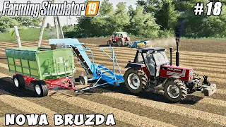 Buying new equipment, harvesting potatoes | Nowa Bruzda | Farming simulator 19 | Timelapse #18