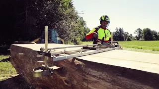 Dirk Mobiles Sägewerk - Eiche XXl Sägen mit 2 Stihl MS 880 - 160 cm Durchmesser