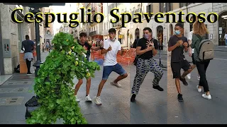 Awesome Reactions / Reazioni Eccenzionale / Mr Cespuglio / Bushman Prank Italy [ ENG SUB/CC ON ]