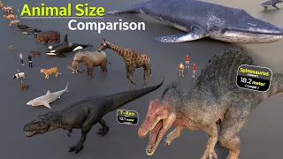 World's Different Animals Size Comparison | Insect Size | Extinct animal size