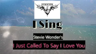 Singing The Hits:  I Just Called To Say I Love You (My Best Stevie Wonder Impersonation)