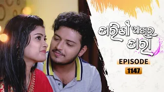 Tarini Akhira Tara | 24th Nov 2021 | Ep - 1147 | Full Episode | Odia Serial–TarangTV