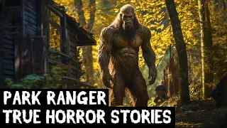 8 TRUE Creepy Park Ranger Horror Stories (Dogman,Sasquatch,Wendigo,Skinwalker,Cryptids...)