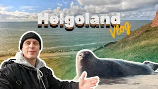 Robbensuche auf Helgoland -Joris VLOG
