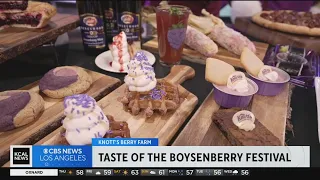 Knott's Berry Farm Boysenberry Festival