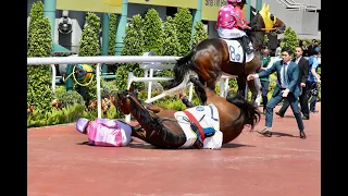 ￼￼隻馬發完￼老脾，到鄭俊偉馬場發火！怒掟馬簿￼🤣