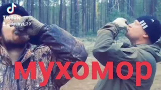 Короткометражный фильм "МУХОМОР"