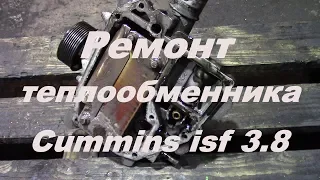 Пошло масло в антифриз Cummins isf 3.8 |  Теплообменник двигателя камминз, cummins 3.8