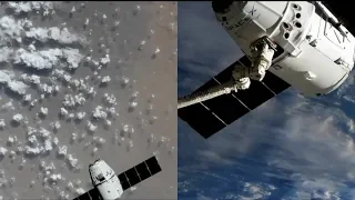 SpaceX CRS-18 Dragon capture