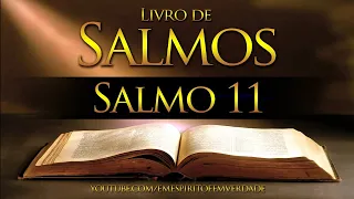 SALMO -11 (BÍBLIA SAGRADA EM ÁUDIO CID MOREIRA)