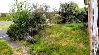 You won't BELIEVE this Overgrown RESCUE | Homeowner was STUNNED