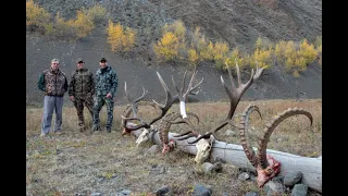 Охота на Марала в Казахстане.( Maral hunting in Kazakhstan).