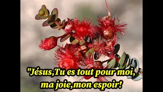 Jésus,tu es tout pour moi