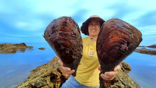 Unbelievable! Giant mussels are stuffed with pearls. gold and silver beads