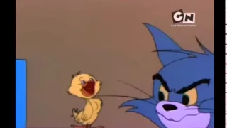 Tom si Jerry - The Vanishing Duck - Buna dimineata