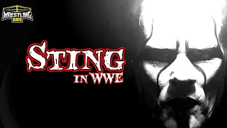 The Story of Sting in WWE