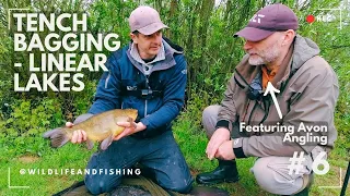 Tench PB smashed THREE times | Linear Fisheries (with @AvonAnglingUK) | #6