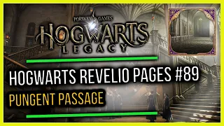 Hogwarts Castle Field Guide Revelio Pages #89 Pungent Passage
