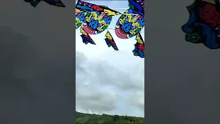 The Big Dragon Kite  #duofafa