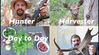 Hunter/Harvester Day to Day 1
