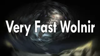 Very Fast Wolnir.exe has stopped working