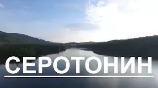 СЕРОТОНИН это.... гормон счастья. Серотониновый стресс.