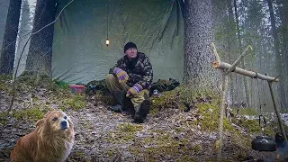 2 Days of Solo Bushcraft with a dog near the river / ASMR / RELAX