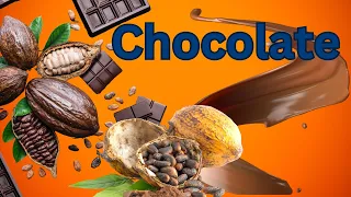 "Chocolate Chronicles: From Bean to Bliss"