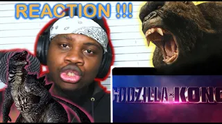 Is GODZILLA A SIDE Character NOW!!?? | Godzilla x KONG Tha New Empire TRAILER 2 REACTION!!