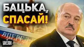 "Батька, спаси!": Россияне прозрели и обратились к Лукашенко - Пьяных / Жирнов
