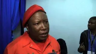 Land expropriation without compensation a priority - Julius Malema