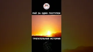 Рай за один поступок трогательная история