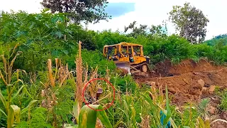 D6r XL Bulldozer Operator Expanding Plantation Roads in Extreme Hill Areas, FULL VERSION