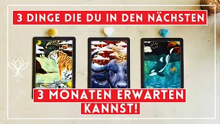 Welche 3 Dinge du in den nächsten 3 Monaten erwarten kannst! Wähle eine Karte! ✨😍🤞🎁✨