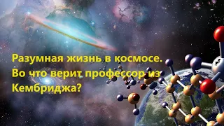 Разумная жизнь в космосе. Во что верит профессор из Кембриджа?