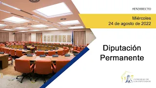 Diputación Permanente (24/08/2022)