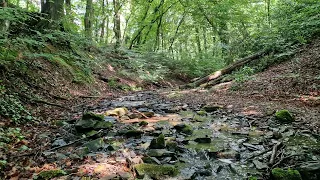 The pleasant murmur of the stream and the singing of birds for nerves, stress relief, relaxation.